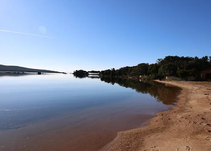 Διαμέρισμα Casa Di Daisy - T2 Les Pieds Dans L'eau Et Piscine