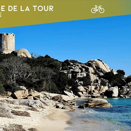 Casa Di Daisy - T2 Les Pieds Dans L'eau Et Piscine *