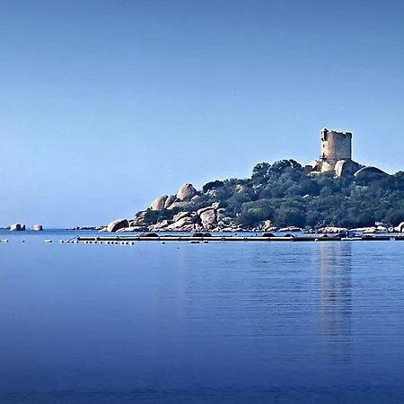 Casa Di Daisy - T2 Les Pieds Dans L'eau Et Piscine Pianottoli-Caldarello (Corsica)