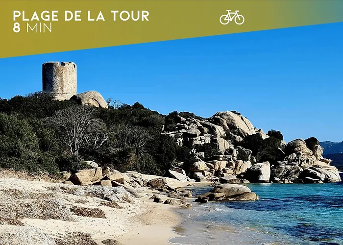 Casa Di Daisy - T2 Les Pieds Dans L'eau Et Piscine *