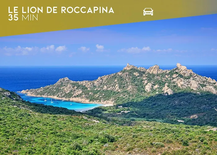 Casa Di Daisy - T2 Les Pieds Dans L'eau Et Piscine * Pianottoli-Caldarello (Corsica)